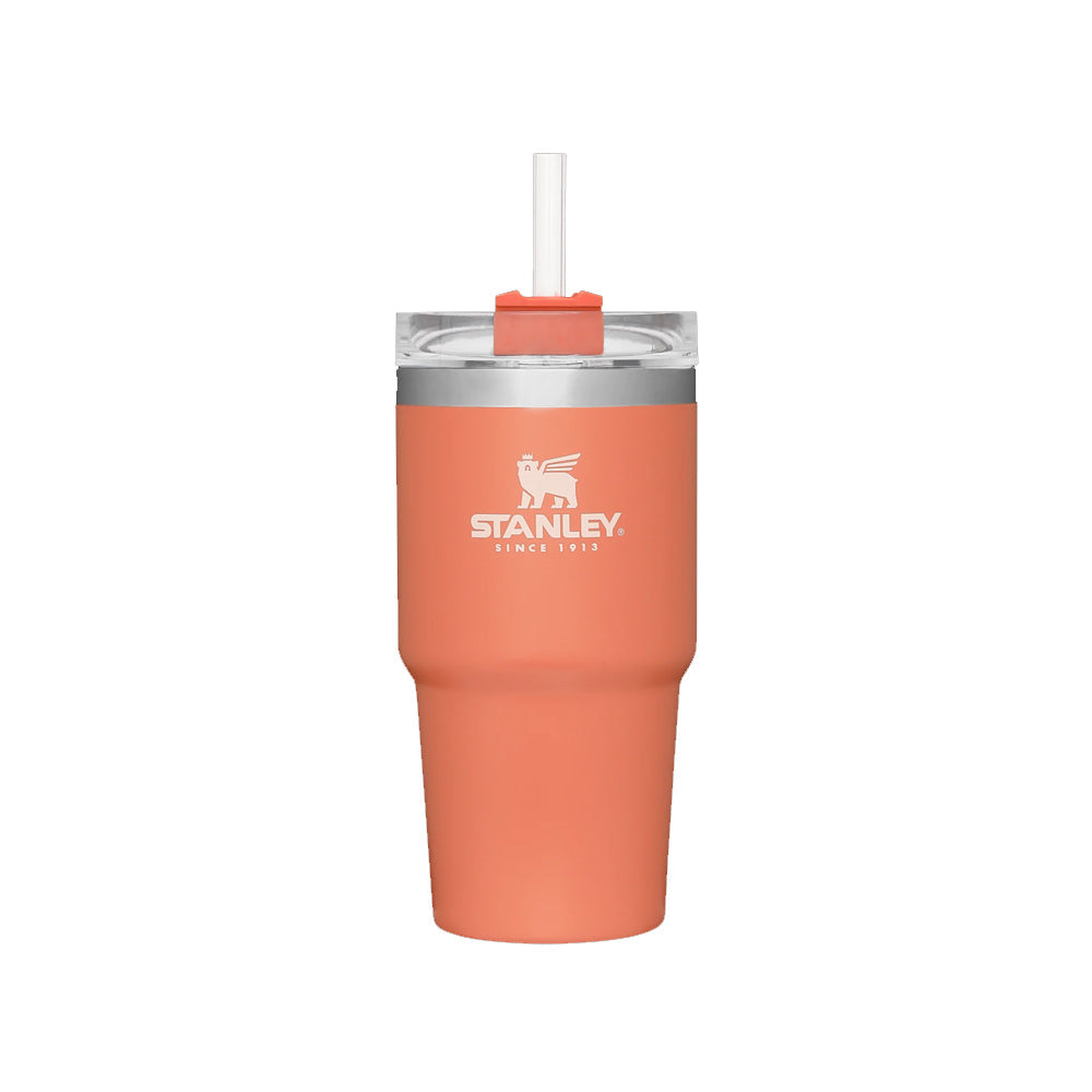 Stanley Adventure Quencher Tumbler 23oz