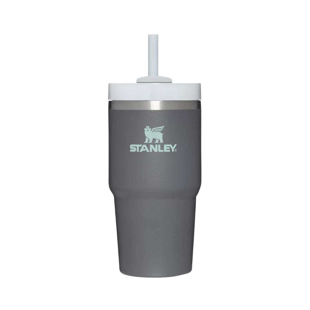 Stanley Adventure Quencher 2.0 Tumbler 20oz