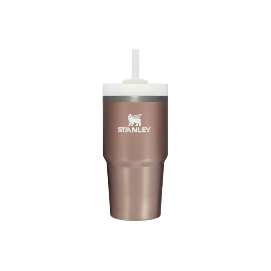 Stanley Adventure Quencher 2.0 Tumbler 20oz