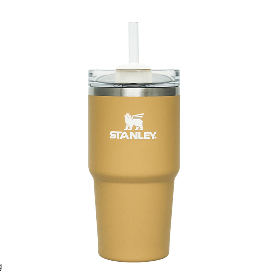 Stanley Adventure Quencher 2.0 Tumbler 20oz