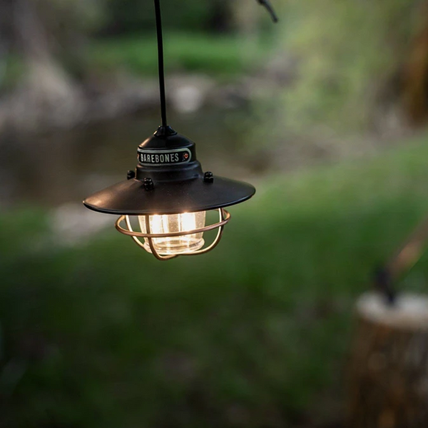 Barebones Edison Pendant Light